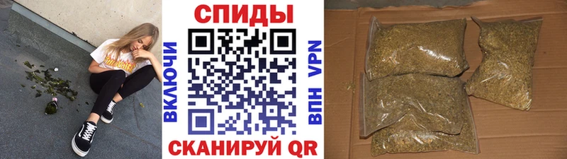 shop телеграм  Новоаннинский  Бутират бутандиол 