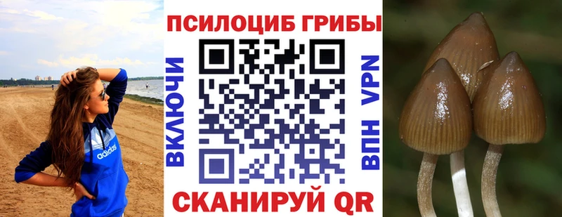 Галлюциногенные грибы MAGIC MUSHROOMS  Новоаннинский 